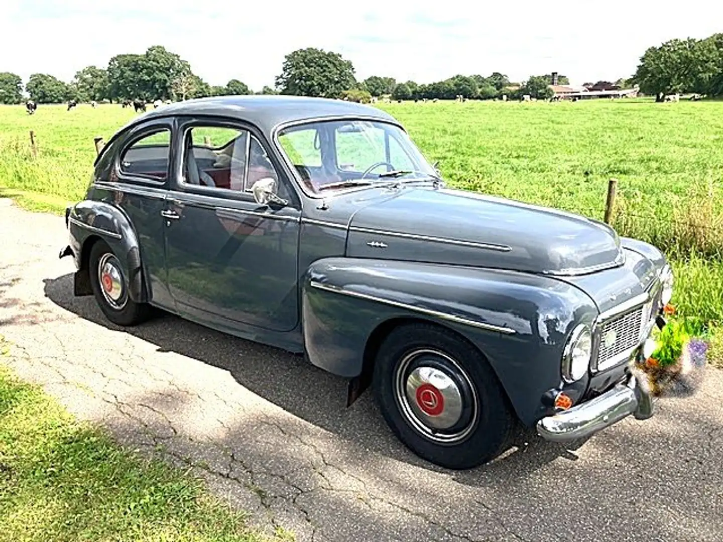 Volvo PV544 Limousine mit B 18 Motor Grau - 1