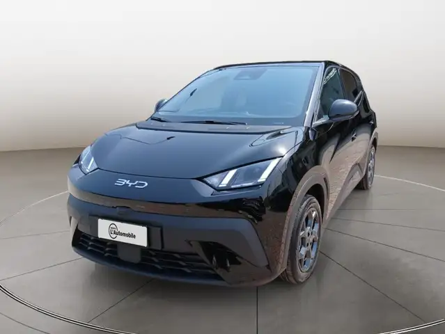 BYD Dolphin Surf
