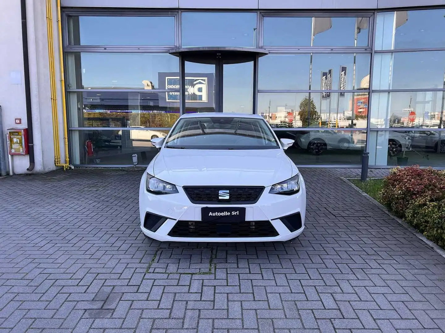 SEAT Ibiza 5ª serie 1.0 TGI 5 porte Style Blanco - 2