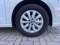 SEAT Ibiza 5ª serie 1.0 TGI 5 porte Style NEOPATENTATI Bianco - thumbnail 14