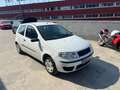 Fiat Punto 1.2 Active Blanco - thumbnail 5