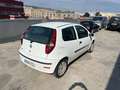 Fiat Punto 1.2 Active Blanco - thumbnail 2