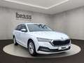 Skoda Octavia Combi Style Weiß - thumbnail 6