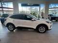 Ford Kuga 2.5 Duratec FHEV Titanium Aut. LAGERBONUS Weiß - thumbnail 4