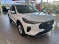 Ford Kuga 2.5 Duratec FHEV Titanium Aut. LAGERBONUS Weiß - thumbnail 3