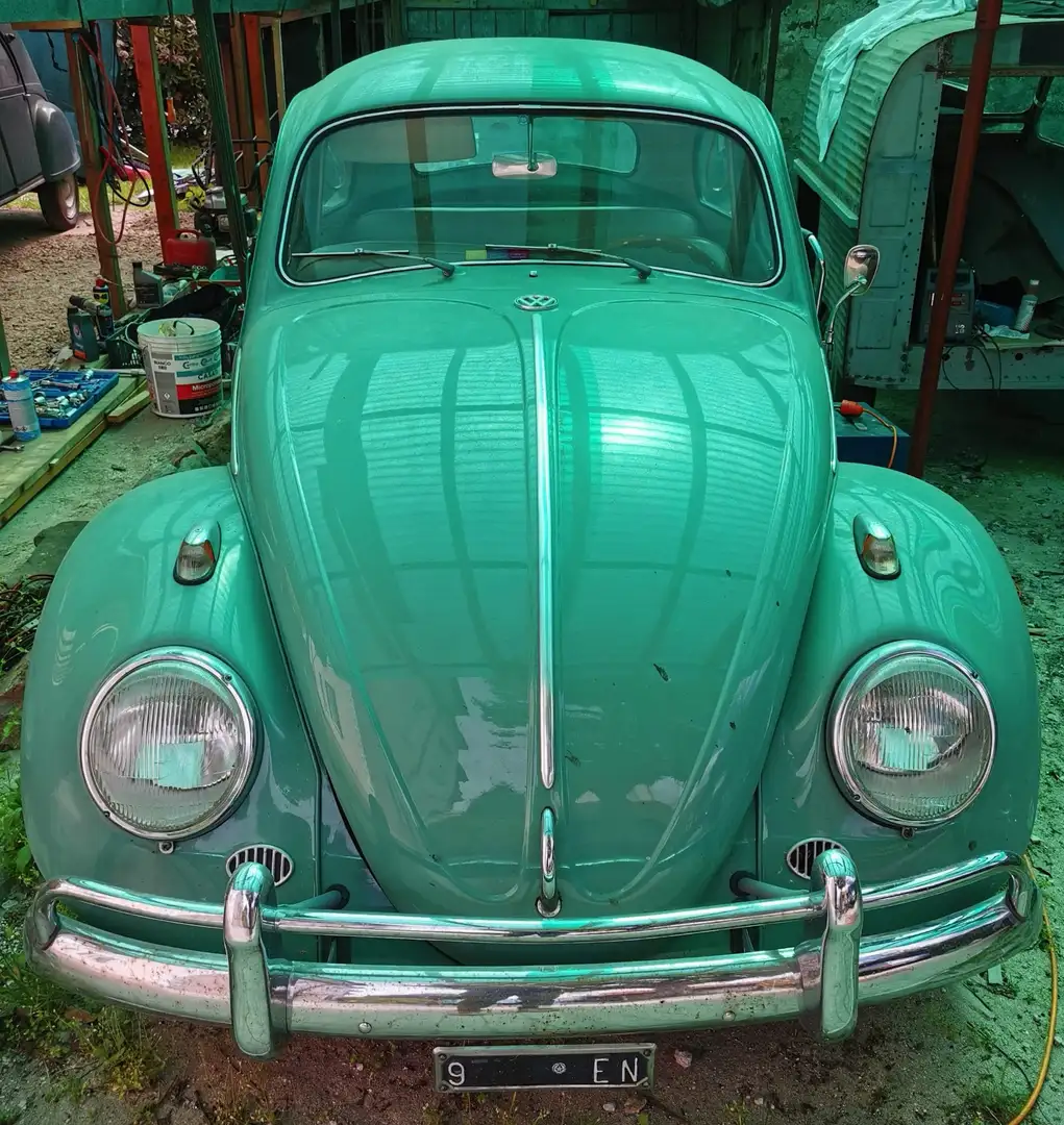 Volkswagen Maggiolino Зелений - 2