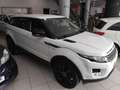 Land Rover Range Rover Evoque 2.2L eD4 Pure 4x2 Blanco - thumbnail 5
