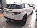 Land Rover Range Rover Evoque 2.2L eD4 Pure 4x2 Blanco - thumbnail 8
