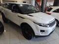 Land Rover Range Rover Evoque 2.2L eD4 Pure 4x2 Blanco - thumbnail 3