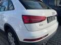 Audi Q3 Q3 2,0 TDI Weiß - thumbnail 9