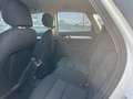 Audi Q3 Q3 2,0 TDI Weiß - thumbnail 12