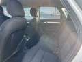 Audi Q3 Q3 2,0 TDI Weiß - thumbnail 11