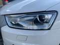 Audi Q3 Q3 2,0 TDI Weiß - thumbnail 7