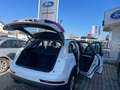 Audi Q3 Q3 2,0 TDI Weiß - thumbnail 22