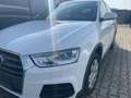 Audi Q3 Q3 2,0 TDI Weiß - thumbnail 1