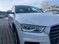 Audi Q3 Q3 2,0 TDI Weiß - thumbnail 4