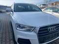 Audi Q3 Q3 2,0 TDI Weiß - thumbnail 3