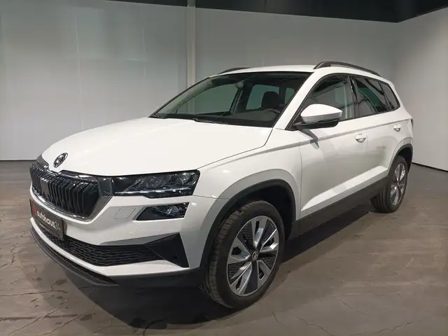 Skoda Karoq view 3