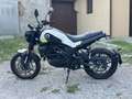 Benelli Leoncino Bianco - thumbnail 7