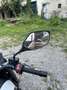 Benelli Leoncino Bianco - thumbnail 6