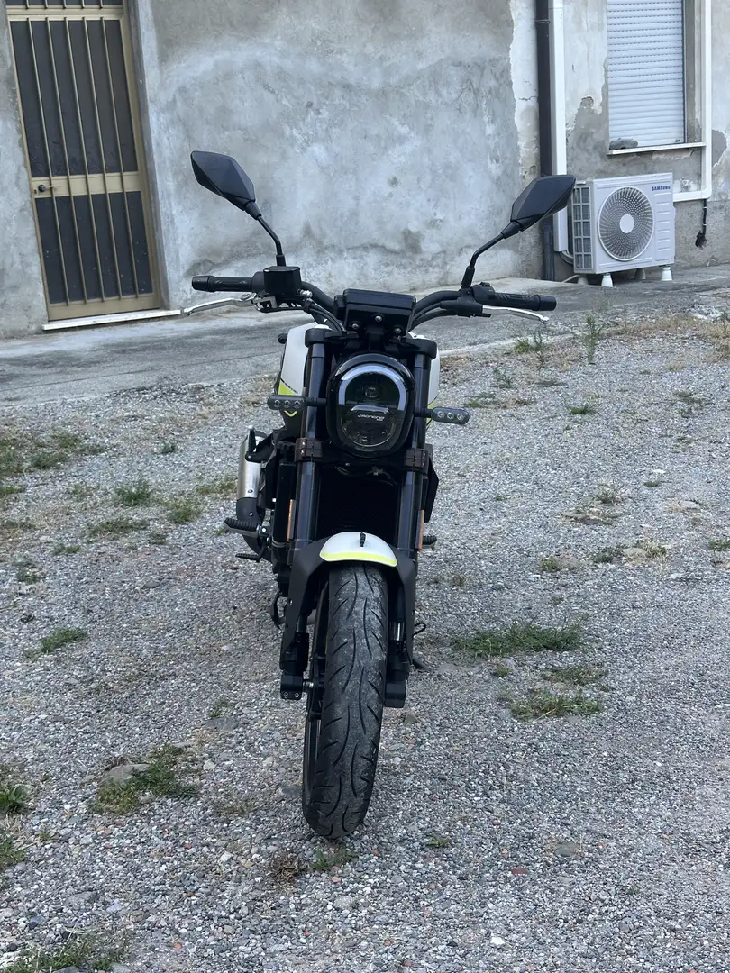 Benelli Leoncino Bianco - 1