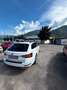 Skoda Superb 2.0 TDI SportLine 4x4 Green tec Weiß - thumbnail 4