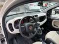 Fiat Panda Panda III 2012 1.2 Lounge 69cv E6 Beige - thumbnail 7