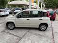 Fiat Panda Panda III 2012 1.2 Lounge 69cv E6 Beige - thumbnail 2