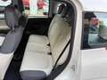 Fiat Panda Panda III 2012 1.2 Lounge 69cv E6 Beige - thumbnail 13