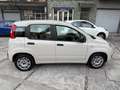 Fiat Panda Panda III 2012 1.2 Lounge 69cv E6 Beige - thumbnail 4
