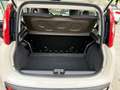 Fiat Panda Panda III 2012 1.2 Lounge 69cv E6 Beige - thumbnail 16