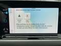Volkswagen Golf Variant Golf VIII Variant Life 1.5 eTSI DSG LED APP TRAV Blau - thumbnail 12