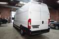 Fiat Ducato Maxi  L5 H3 RS: 4035 Zahnriemen Neu Tüv Blanc - thumbnail 7