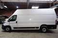 Fiat Ducato Maxi  L5 H3 RS: 4035 Zahnriemen Neu Tüv Blanc - thumbnail 8