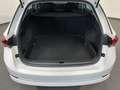 Skoda Octavia Combi 2.0 TDI DSG Ambition NAV+LED+PANO Blanc - thumbnail 6