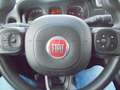 Fiat Panda Panda 1.0 firefly hybrid City LIFE S&S Grigio - thumbnail 14