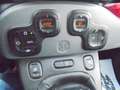 Fiat Panda Panda 1.0 firefly hybrid City LIFE S&S Grigio - thumbnail 13