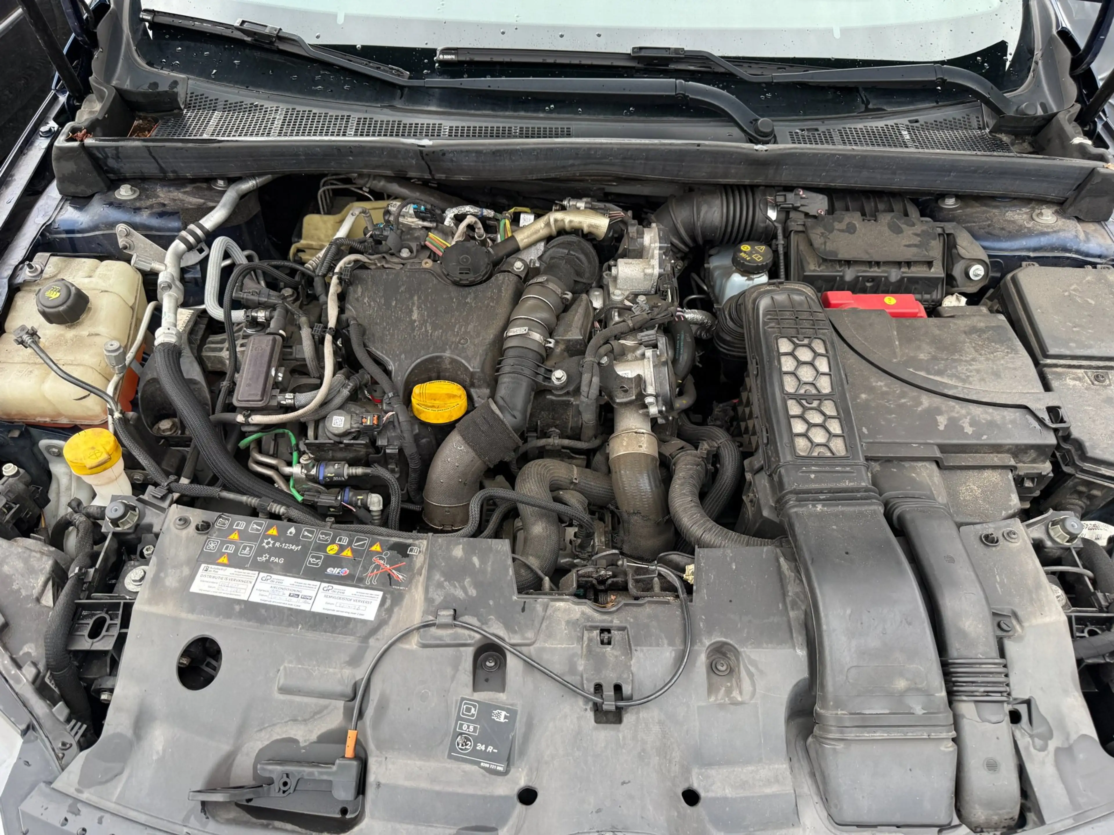 Renault Megane Estate 1.5 Blue dCi Limited ECC NAVI LMV CRUISE PD — photo 24