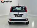 Fiat Panda 1.2 Easy Bianco - thumbnail 5