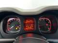 Fiat Panda 1.2 Easy Bianco - thumbnail 9