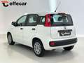 Fiat Panda 1.2 Easy Bianco - thumbnail 4