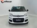 Fiat Panda 1.2 Easy Bianco - thumbnail 2