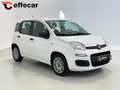 Fiat Panda 1.2 Easy Bianco - thumbnail 3