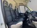Fiat Ducato 2.3MJT 140CV L3H2 Bianco - thumbnail 8