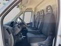 Fiat Ducato 2.3MJT 140CV L3H2 Bianco - thumbnail 7