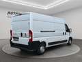 Fiat Ducato 2.3MJT 140CV L3H2 Bianco - thumbnail 4