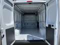 Fiat Ducato 2.3MJT 140CV L3H2 Bianco - thumbnail 14