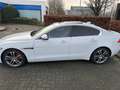 Jaguar XE 2.0D 180pk Panoramadak -Leder- Automaat Full optie Blanc - thumbnail 7