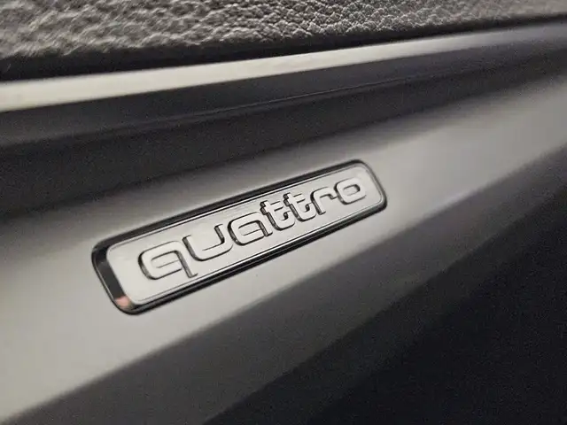 Audi Q5 view 14