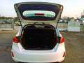 Ford Fiesta 1.5 TDCi Plus Bianco - thumbnail 6
